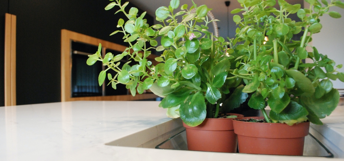 Noir texturé, gris et chêne